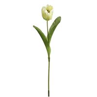 Tulipan, hvid 52cm